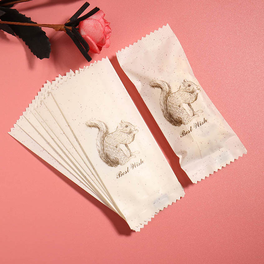 100pcs/lot Cartoon Squirrel De - Homemade Food Snacks recensie en prijs
