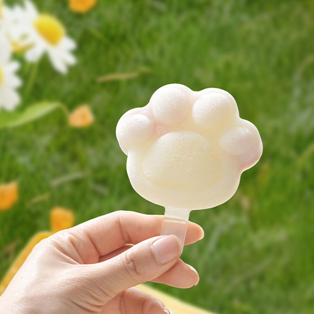 Silicone Ice Tray Ice Pop Mold - Homemade Food Snacks recensie en prijs
